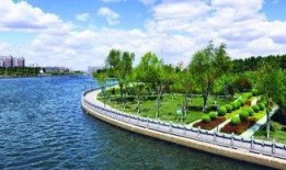 伊通河最新爆料,揭秘河道治理背后的故事